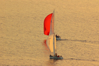 Sailing_02