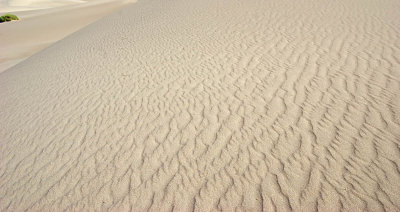 StovePipe Wells Sand Dunes_02