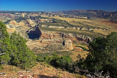 Yampa Bench