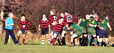 IMG_4540 copy.jpg