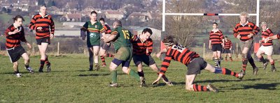 IMG_4548 copy.jpg