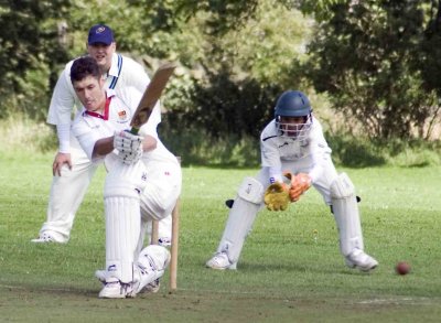 An attractive leg-pull by Gulliver Guzzles