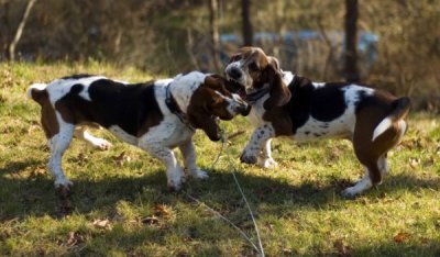 playtime