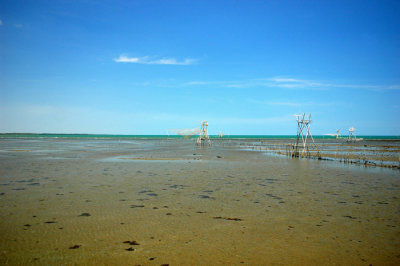 DSC_00004.JPG
