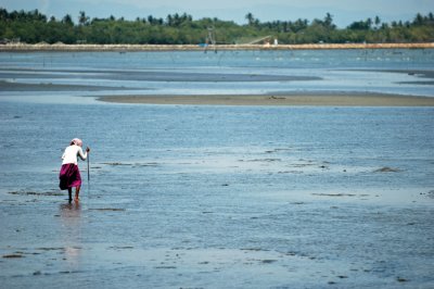 DSC_0016.JPG