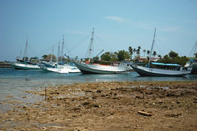 DSC_0034.JPG