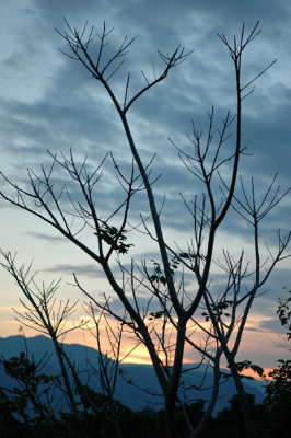 DSC_0134.JPG