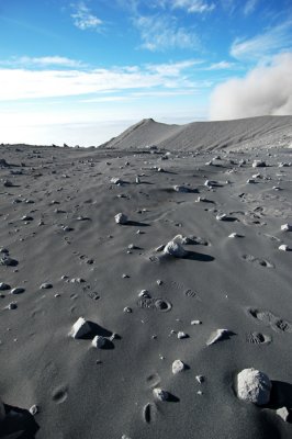 DSC_00019.JPG