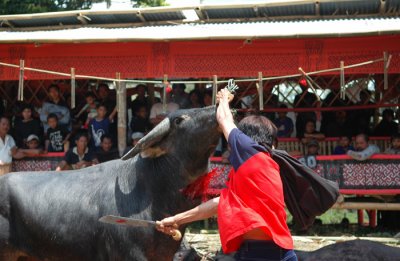 DSC_0021.JPG
