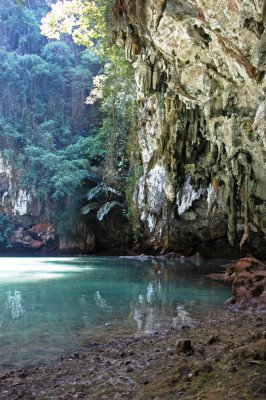 DSC_0080.JPG