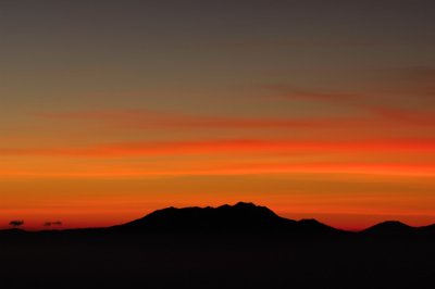 DSC_0229.JPG