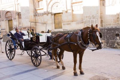 3552_HorseCarriage.jpg