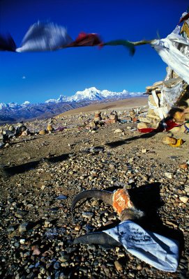 Shishi Pangma Pass Skull, Tibet