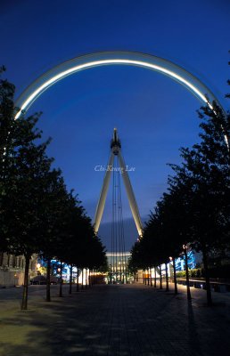 London Eye in Summer