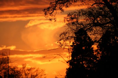 Sunset Furnace.jpg
