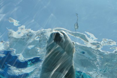 IMG_5700.JPG