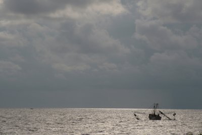 IMG_6228.JPG