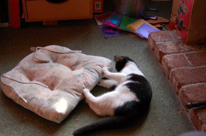 pillow.jpg
