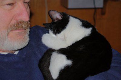 Snooze 2