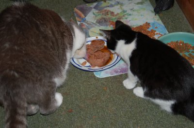 bigandlittle.jpg
