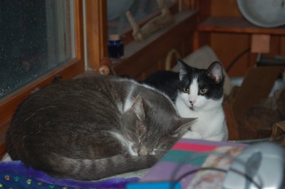 sharing cushion1.JPG