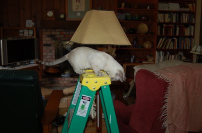 timer running 1