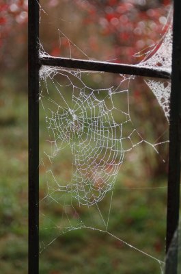 dewey web C