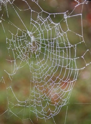 dewey web C3