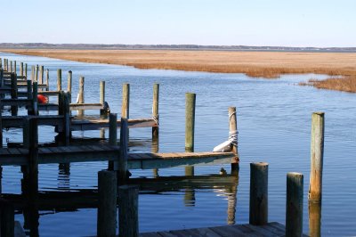 Joe's View from the Docks