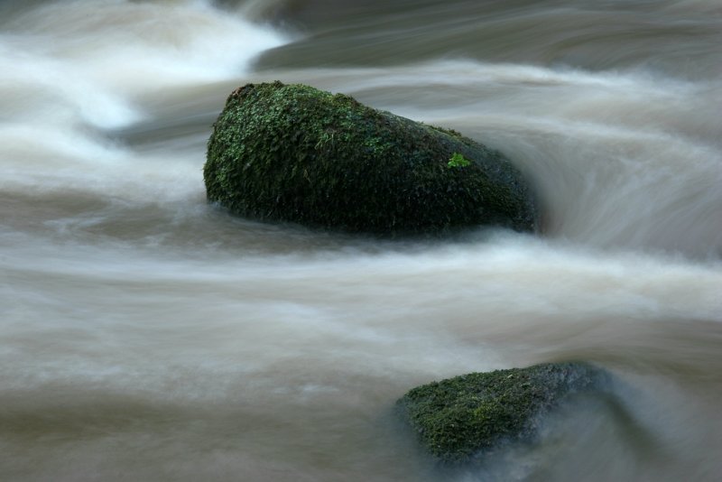 Rocks in a stream