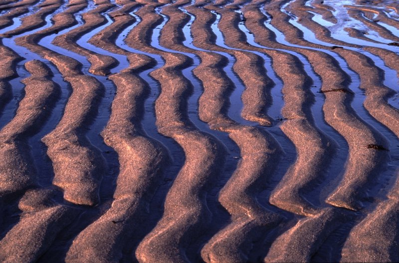 Sand Patterns