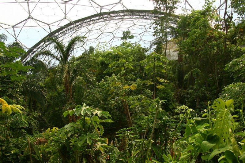 Inside the Humid Tropical Biome