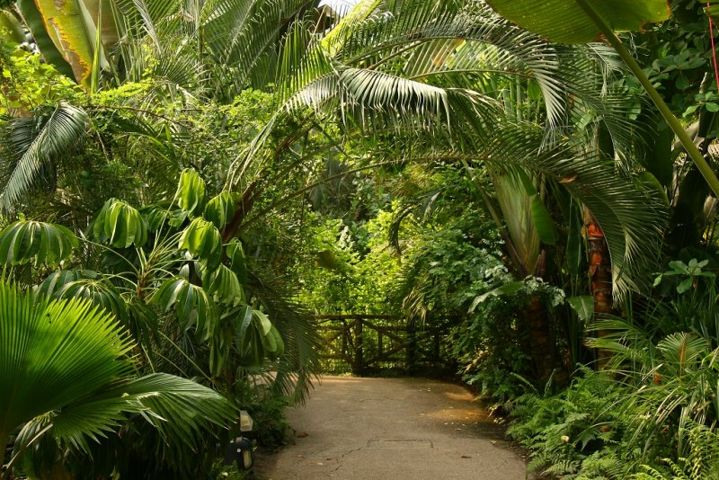 Path through the Humid Tropical Biome