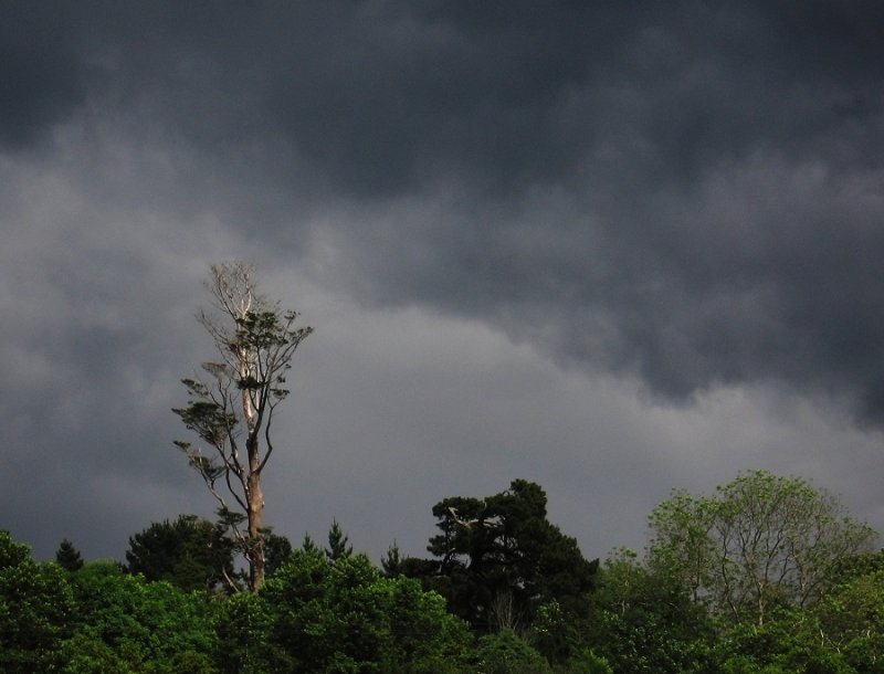 Ominous sky, 16 June 2007.