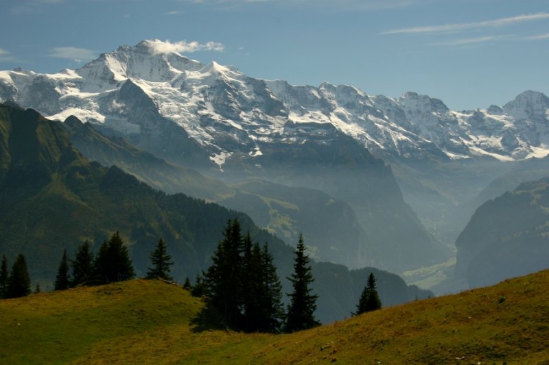 Lauterbrunnen valley from Schynige Platte