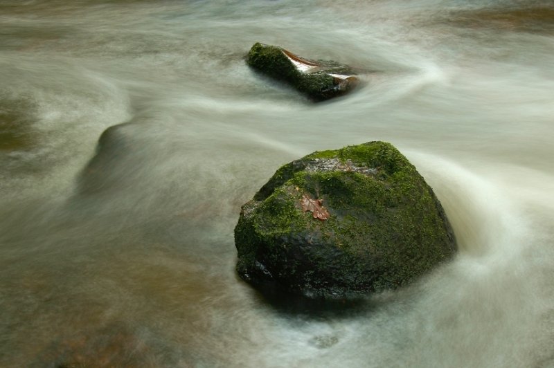 Mossy boulders