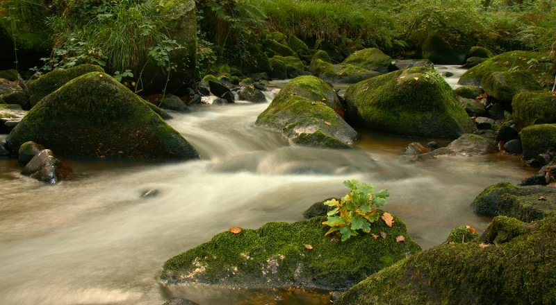 Bouldery stream - cropped, wider view