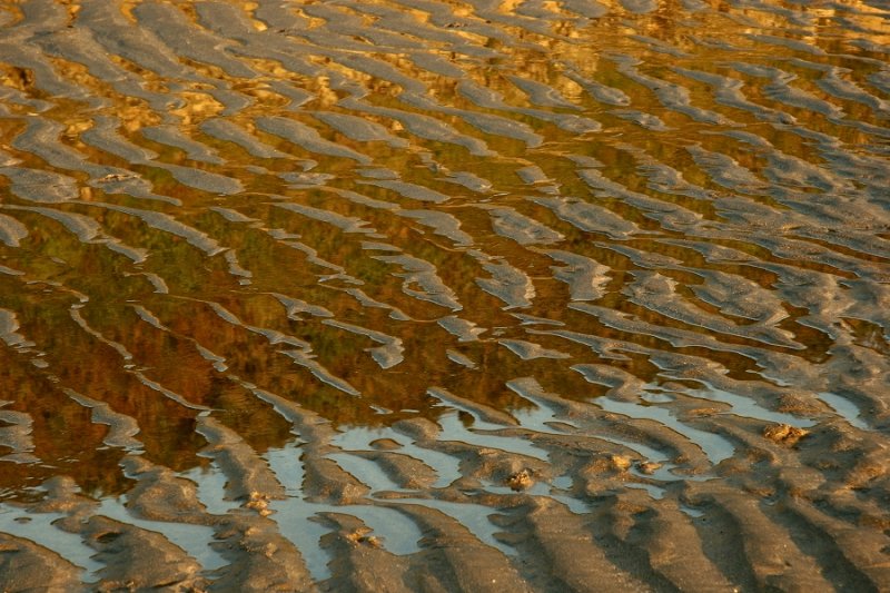 Abstract: (sand ripples & reflections)