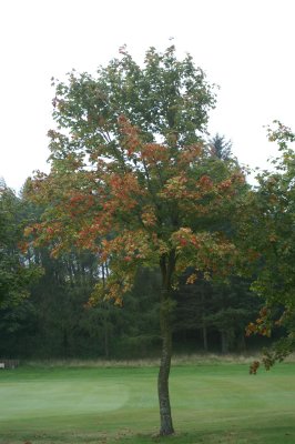 Image017.jpg