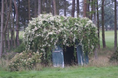 Image018.jpg