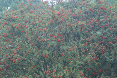 Image021.jpg