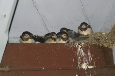 Image010.jpg