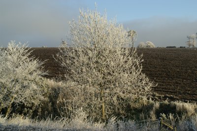 Image003.jpg