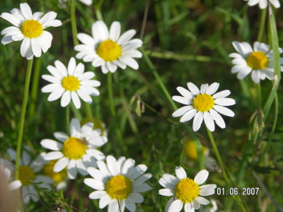 g6/95/789095/3/82716644.ydZOoyep.jpg