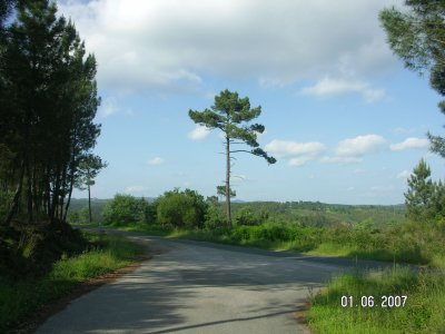 PICT0153.JPG