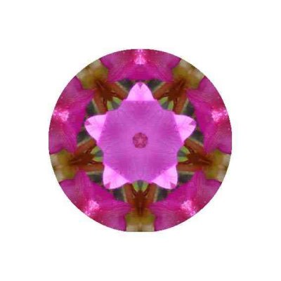 mandala flores rosadas avila 4c.jpg