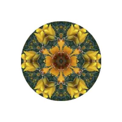 mandala flor bach 1 h_c.jpg