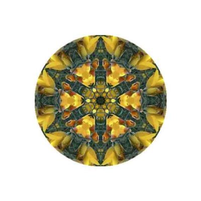 mandala flor bach 4h-c.jpg