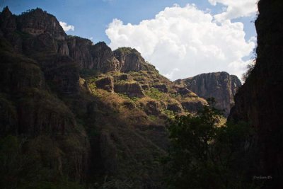 _MG_2789.jpg