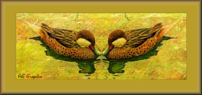 Ducks